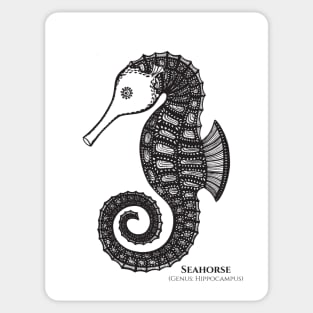 Seahorse with Common and Latin Names - seahorse drawing - animal design Sticker